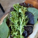 전원일기동광점 이미지