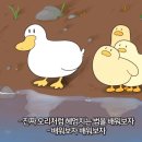 헤버굿나잇