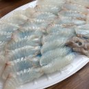 돌고래회직판장 | 동두천 지행동 자연산 광어 횟집 - 돌고래회직판장