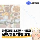 호호야채과일 | [마운자로] 2.5펜 1주차 후기 - 가격/통증/부작용/식단/식욕/운동병행/효과/감량결과