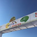 신덕바지락영어조합법인 이미지