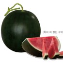 ㈜농민마트 | 더 달고 더 아삭하게! 수박 신품종 출시