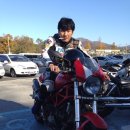 로시난테 이미지