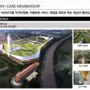 헤세디아 이미지