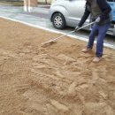 호산초등학교 병설유치원 이미지