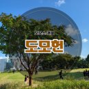 부산동여자고등학교 | 부산 도모헌 모모스커피 남천동 가볼만한곳 주차장, 셔틀버스 정보