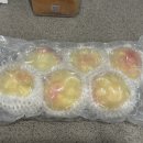 (25주)더달당 하우스 백도복숭아 내돈내산 후기