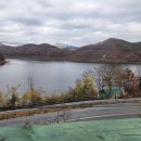 희희낙락풀빌라 이미지