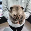 장수서창동-15 이미지