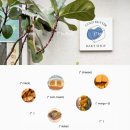 금흠가원인테리어 | 대전 소금빵 맛집 웨이팅 꿀팁 | 콜드버터베이크샵 내돈내산 솔직 후기