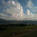 유리네집 이미지