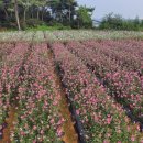 우신목장 이미지