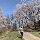 3.1.운동 기념비 맞은편 이미지