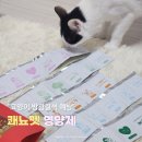 심쿵펫 | 쾌뇨펫 고양이 결석 관리 | 기호성 미친 가루 물 섭취량 변화 영양제 솔직후기