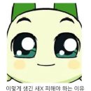 눈미디어 이미지