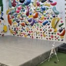 포항시북구31 | 운동_포항 북구_아띠클라이밍: 일일 체험강습 후기