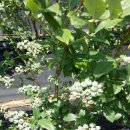 운산농원 이미지