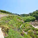 태양맨션 이미지