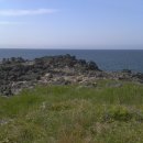 서 초등학교 이미지