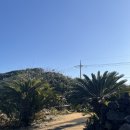 마레하우스펜션 | [쉐프1192레스토랑] 제주 서쪽 여행일기_아기&amp;강아지 동반 모두 가능한 도민맛집!