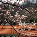 썸데이B