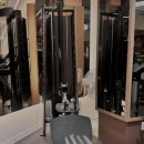 라이언짐 이미지