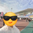 몬주익 영웅 | 2025 상주 곶감 마라톤 (하프코스): 17분 단축! 1시간 38분 PB 달성 후기