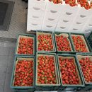 시장 3대 가게 - 놀부한방족발(앞다리 2.8만), 촌놈떡갈비(5개 1.2만), 딸기 (2.2kg 1.5만) (ft.아들둘집)