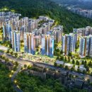 포레스트541 이미지