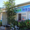 이태백야영장 이미지