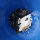 오즈실내바다 낚시터 이미지