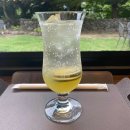 (주)노랑댕댕이 이미지