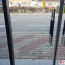 성주당구장 이미지