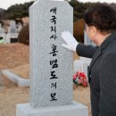 국립대전현충원 라이브팜뉴스