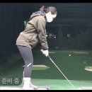 렉스(실외) 이미지