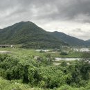 밀양로그 이미지