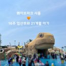 오&Pet | [경기 시흥/16주 임산부일상] 서울 근교 : 21개월 아기랑 폐장시간까지 있다 온 시흥주민의 웨이브파크...