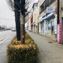 순천센터 필립스서비스 이미지