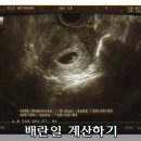 배란일 정확히 계산해서 똑똑히 임신하자! : 임신되는기간 이미지