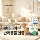 pet286다8124 | 펫테리어 시작 전, 반려동물 인증 페인트부터 확인하세요