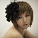 예인 이미지