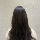 더꼼꼼살롱 - 7503 | [부천 미용실] 상동역미용실 '살롱더샹델 상동점' 만족후기 (톤다운 뿌리염색 & 크리닉)