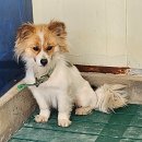 강동로-53 이미지