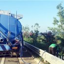 국도24호선가로수 이미지