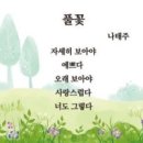 풀꽃 - 하동군 시장1길 8-5 | 풀꽃