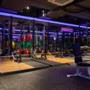 피트니스 에스 핏 이미지