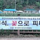 부석마트 이미지