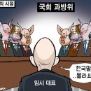 12 이미지