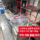 티에이치케어 바퀴벌레 해충방제 방역소독