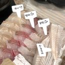 연산동 횟집 연산동고기쟁이 평일 저녁 후기